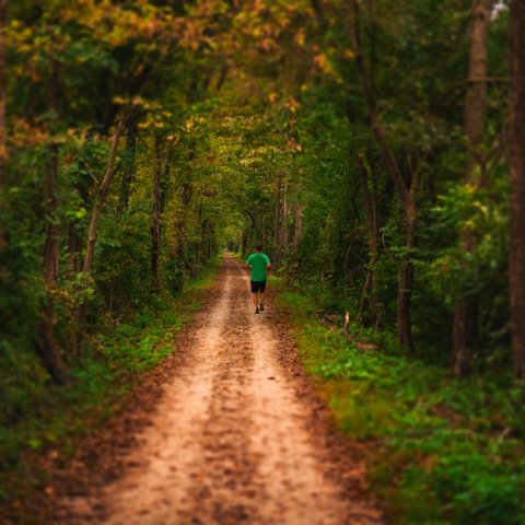 Zdjęcie: Trail running: pierwsze kroki w bieganiu po górach i lasach