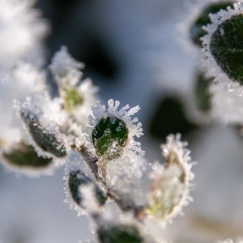 Zdjęcie: Cold plunge w domu: protokoły zimna i wpływ na zdrowie