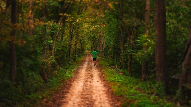 Zdjęcie: Trail running: pierwsze kroki w bieganiu po górach i lasach