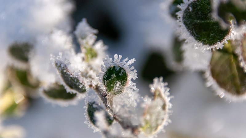 Zdjęcie: Cold plunge w domu: protokoły zimna i wpływ na zdrowie