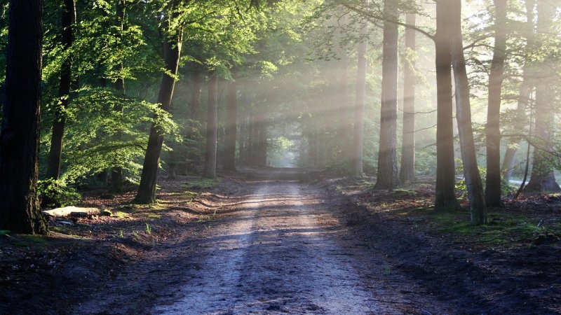 Zdjęcie: 5 tras trail runningowych w Polsce dla początkujących biegaczy