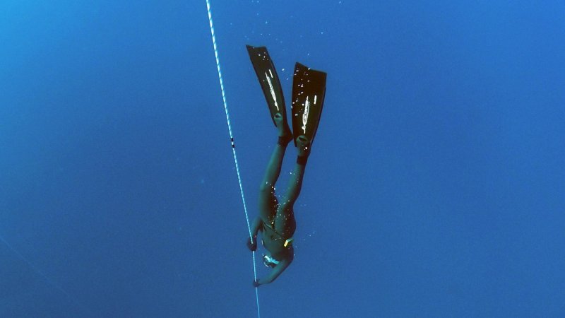 Zdjęcie: Freediving: jak zacząć, czego nauczy kurs AIDA i czy warto bez doświadczenia