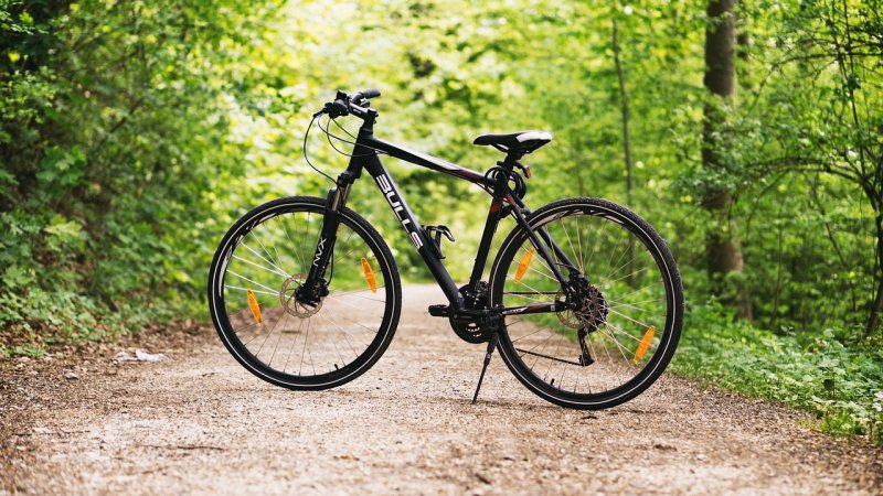 Zdjęcie: Gravel biking w Polsce: trasy szutrowe w Twoim regionie 2026
